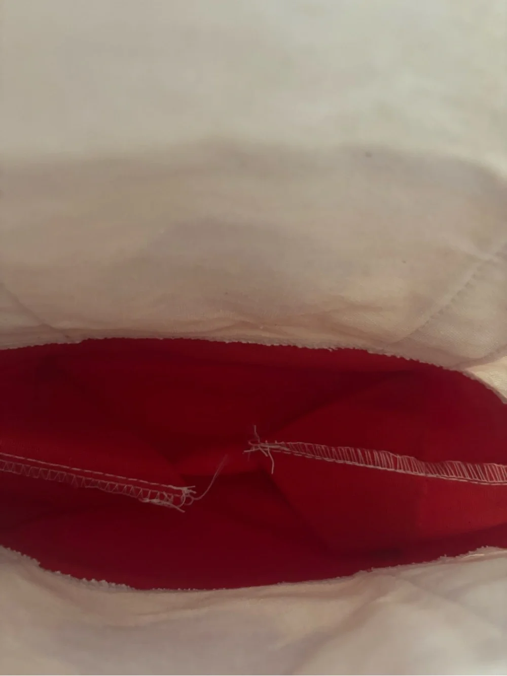 NWT Trader Joe’s Red & Cream Mini Canvas Tote Bag